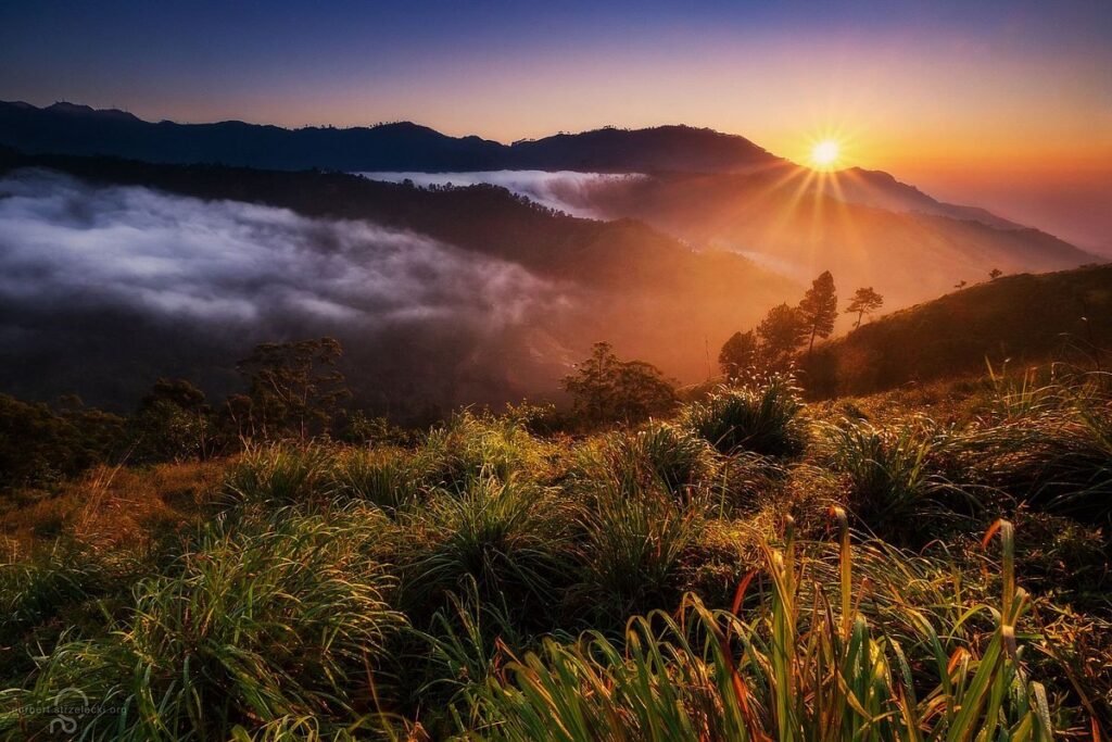 Sunrise & Sunset Safari